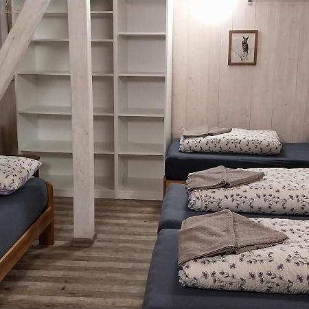 بيتس بود سنيزكو Ski Apartmany Nymburska Chata المظهر الخارجي الصورة