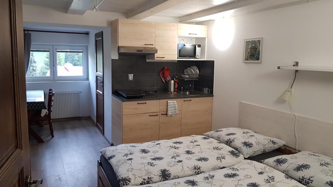 بيتس بود سنيزكو Ski Apartmany Nymburska Chata المظهر الخارجي الصورة